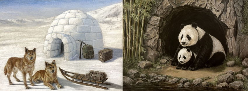 Realistic colored pencil drawings