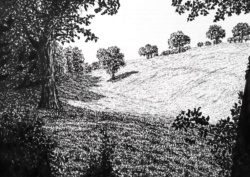 Pen drawing of a landscape and shadows