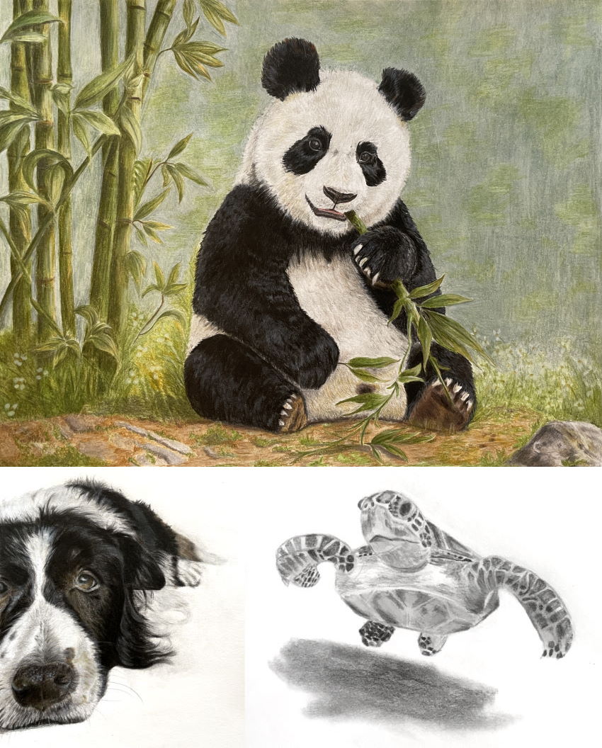 Realistic drawings by Dan