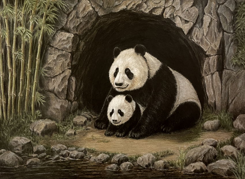 Panda and panda cub in cave, realistic colored pencil drawing