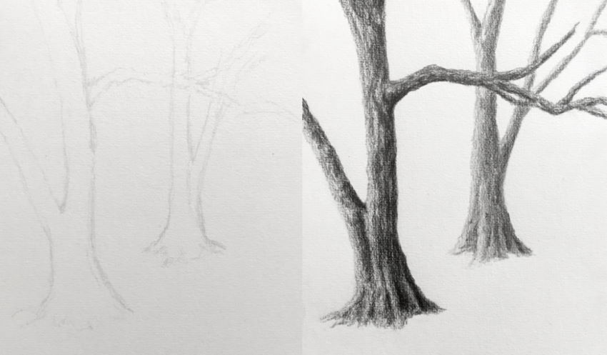 Drawing of tree trunks with pencils