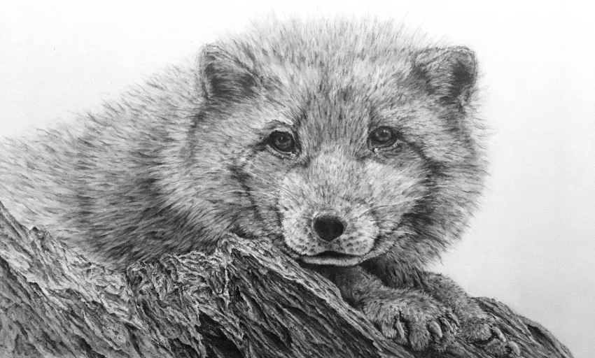 Realistic Pencil Drawing Gallery & Tutorials - Ran Art Blog