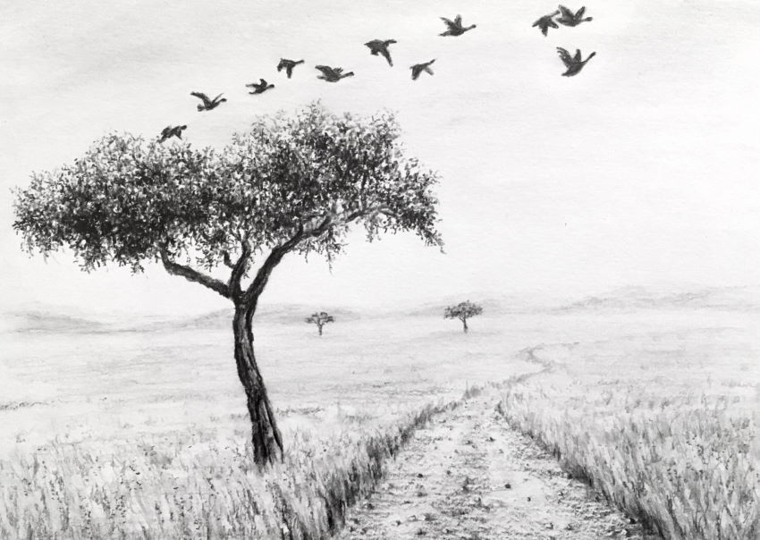 Graphite drawing of acacia tree and geese
