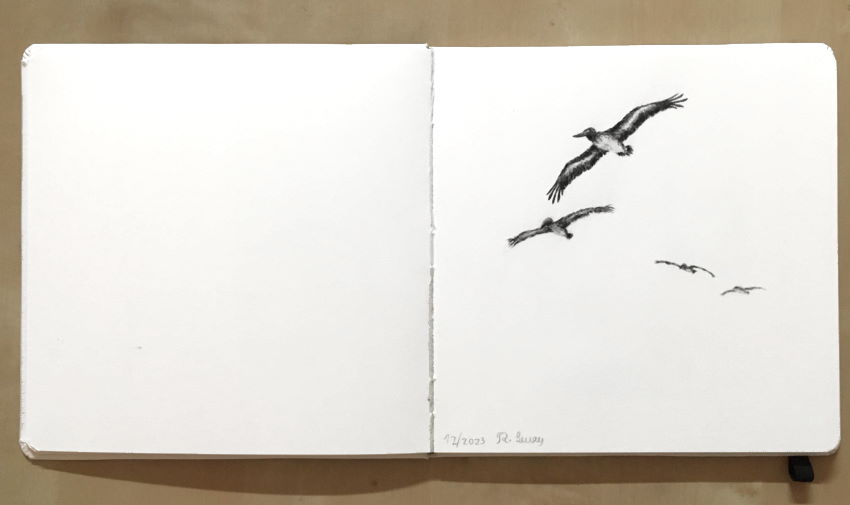Sketchbook with graphite pencil drawing of birds flying
