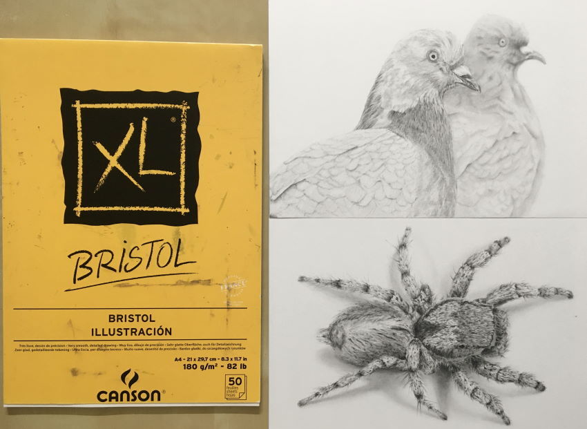 Canson XL Bristol paper pad, and two drawings
