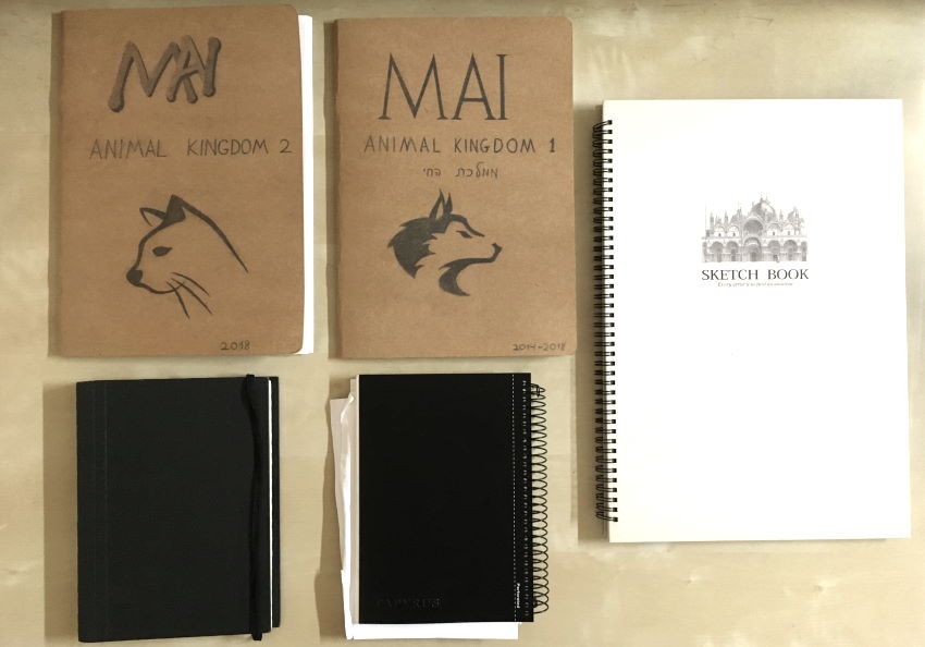 Sketchbooks and drawing notebooks