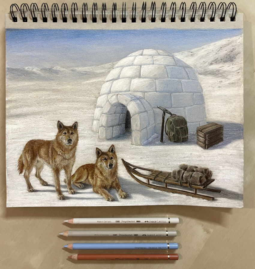 Colored pencil drawing of dogs and igloo in the snow